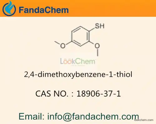 2,4-dimethoxybenzene-1-thiol  cas no 18906-37-1 (Fandachem)