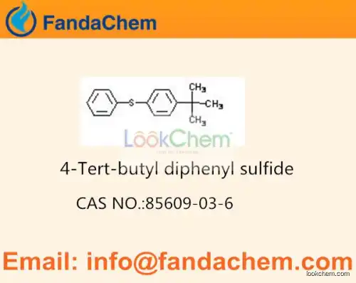 4-tert-Butyldiphenyl sulfide cas no 85609-03-6 (Fandachem)