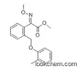 Kresoxim-methyl 95% SC - the manufacturer