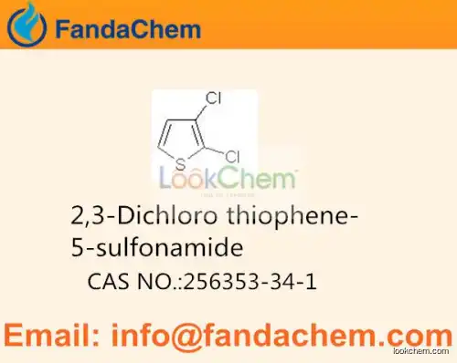 2,3-Dichlorothiophene-5-sulfonamide ,4,5-DICHLORO-2-THIOPHENESULFONAMIDE,cas no 256353-34-1