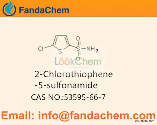 5-Chlorothiophene-2-sulfonamide,2-Chlorothiophene-5-sulfonamide cas no 53595-66-7