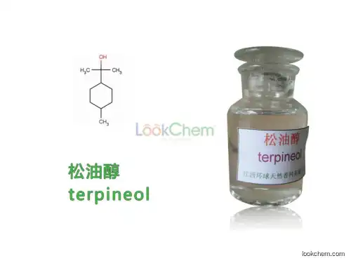 Bulk Fragrance Oil for Perfume Natural Terpineol Aroma Oil 98%(8000-41-7)