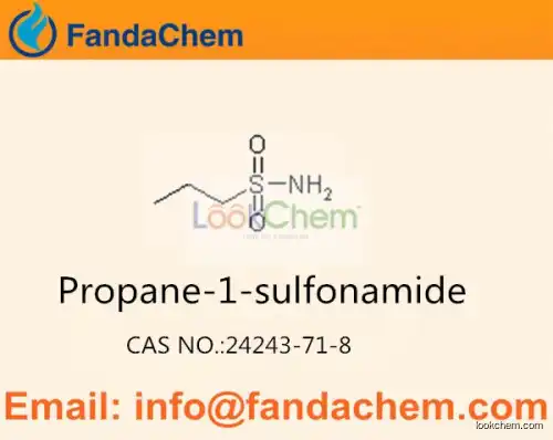 Propane-1-sulfonamide cas  24243-71-8 (Fandachem)