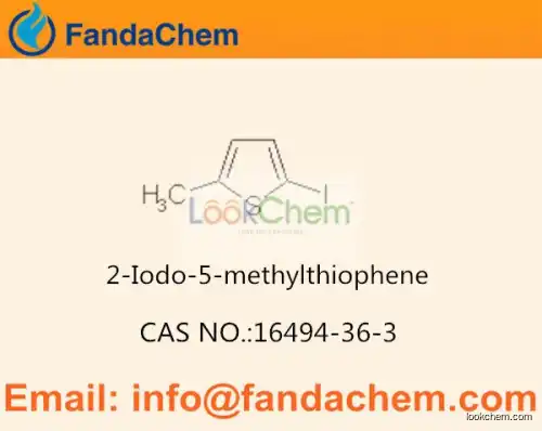 2-IODO-5-METHYLTHIOPHENE cas 16494-36-3 (Fandachem)