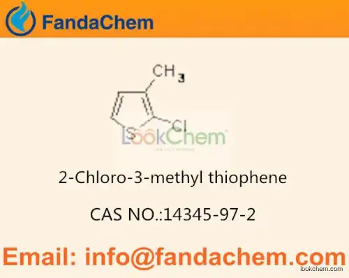 2-Chloro-3-methylthiophene cas  14345-97-2 (Fandachem)