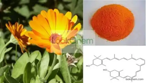 Calendula Extract CAS NO.84776-23-8 13%