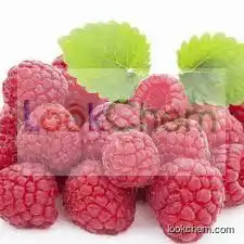 Bilberry Extract(84082-34-8)