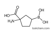 1-amino-3-boronocyclopentane-1-carboxylic acid