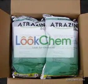 High quality Atrazine CAS NO.102029-43-6