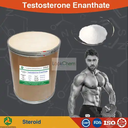 Testosterone Enanthate powder（Primoteston）