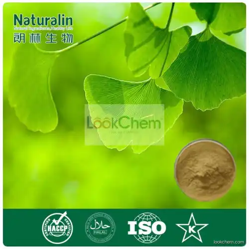 Pure natural Ginkgo biloba leaf extract(90045-36-6)