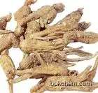 angelica root extract powder
