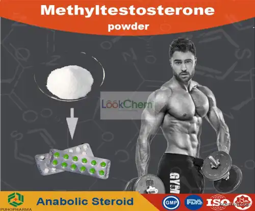 Methyltestosterone (Methyl Testosterone) powder