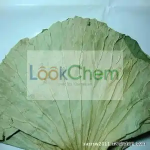 GMP factory supply high quality Lotus leaf extract