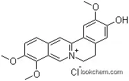 Jatrorrhizine Hydrochloride