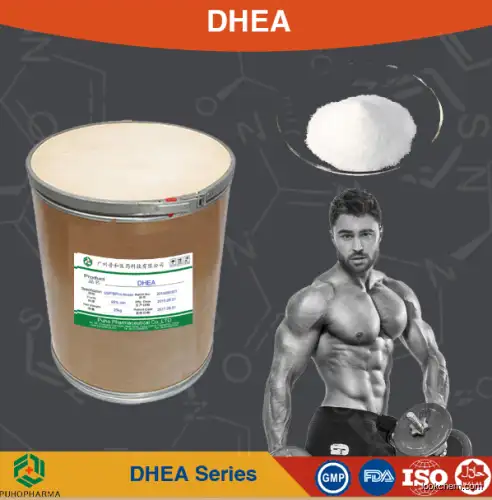 Supply high quality Dehydroepiandrosterone(53-43-0)