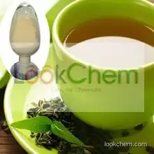 Green Tea Extract Catechins 85%