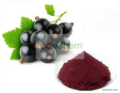 Elderberry Extract / Sambucus Nigra L. ,Elderberry Extract 20% Anthocyanidin