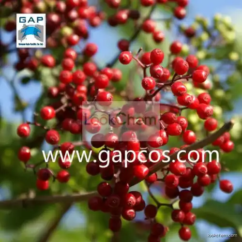 High Quality and Best Price Erberry Extract