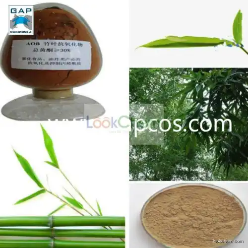 Top Quality Bamboo Leaves Flavone
