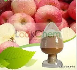 Manufacturer Top Grade Apple Extract, Polyphenols 50%-80%