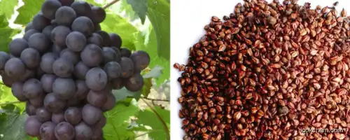 Grape Seed Extract CAS NO.84929-27-1(84929-27-1)