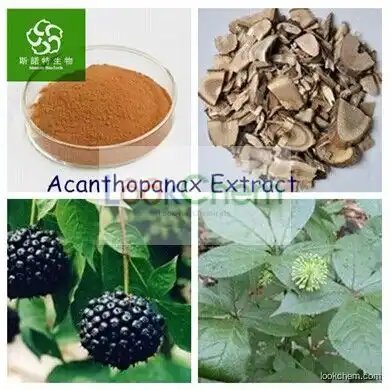 Siberian Ginseng Extract Eleutheroside 0.8% 1.2% 1.5%