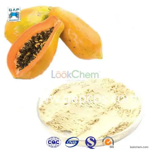 100% Natural Instant Freeze Dried Papaya Powder