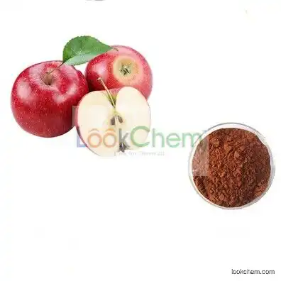Natural Apple Extract, Apple Extract Powder, Apple Polyphenols