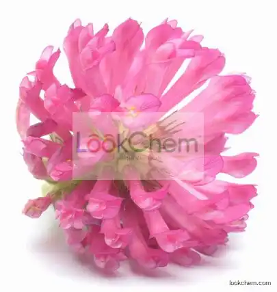 Hot Selling Product 100% Natural Best Selling 8%~40% Isoflavones Red Clover Extract