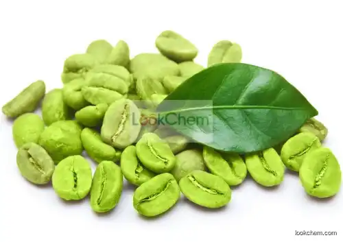 Hot Selling Product 100% Natural Chlorogenic Acids 20%-60% | Green Coffee Bean Extract powder