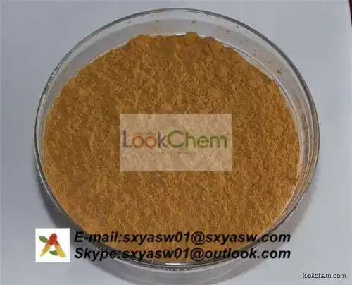 natural gymnema sylvestre extract 25% gymnemic acids(90045-47-9)
