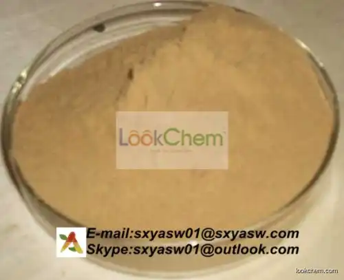 Natural Gynostemma Extract 40% 90% 98% Gypenosides(15588-68-8)