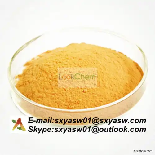natural Soybean Extract 40% 90% Soy Isoflavones(574-12-9)