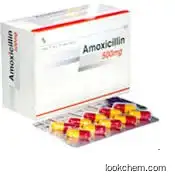 Amoxicillin(61336-70-7)