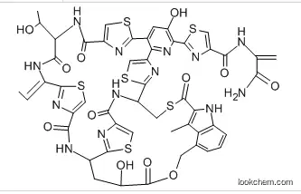 Nosiheptide(56377-79-8)