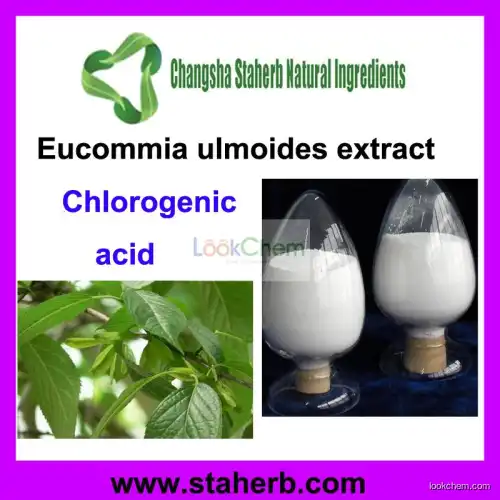 Eucommia ulmoides extract Chlorogenic acid 10%-50%(327-97-9)