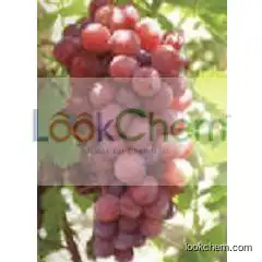 GRAPE SEED EXTRACT(4852-22-6)