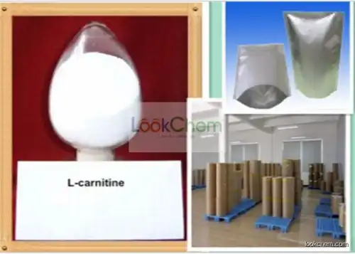 L-Carnitine / Levocarnitine losing weight steroids CAS 541-15-1