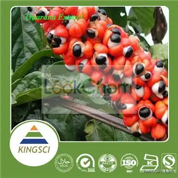 best quality guarana seed extract 22% caffeine paullinia cupana(13-45-6)