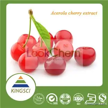 ISO KosherHigh Quality 100% Natural Acerola Cherry Fruit Extract 17% 25% Vitamin c Bulk Store