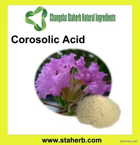 Banaba Leaf Extract Corosolic Acid Corosolic Acid 1% -98% banaba(4547-24-4)
