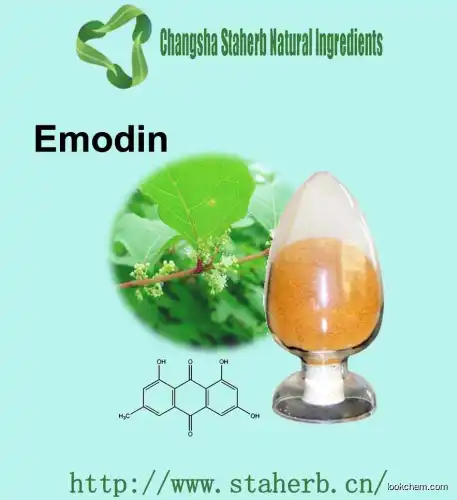 50%-98% Emodin Herb Extract Polygonum Cuspidatum Extract 50%-98% Emodin