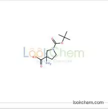 3-Amino-pyrrolidine-1,3-dicarboxylic acid  1-tert-butyl ester  862372-66-5