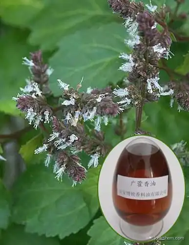 High quality Patchouli Oil