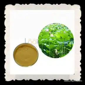 Natural Lotus Leaf extract Nuciferine