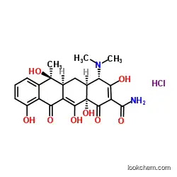Tetracycline Hydrochloride distributor