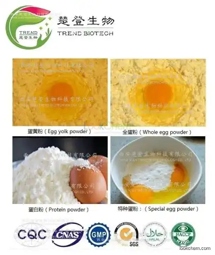 High Quality Organic egg  powder and agg liquid