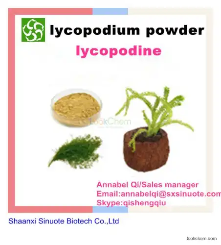 Hot sale 100% natural plant extract Lycopodium Powder