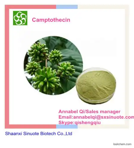 Best Price Pure Natural Camptothecin Extract Powder